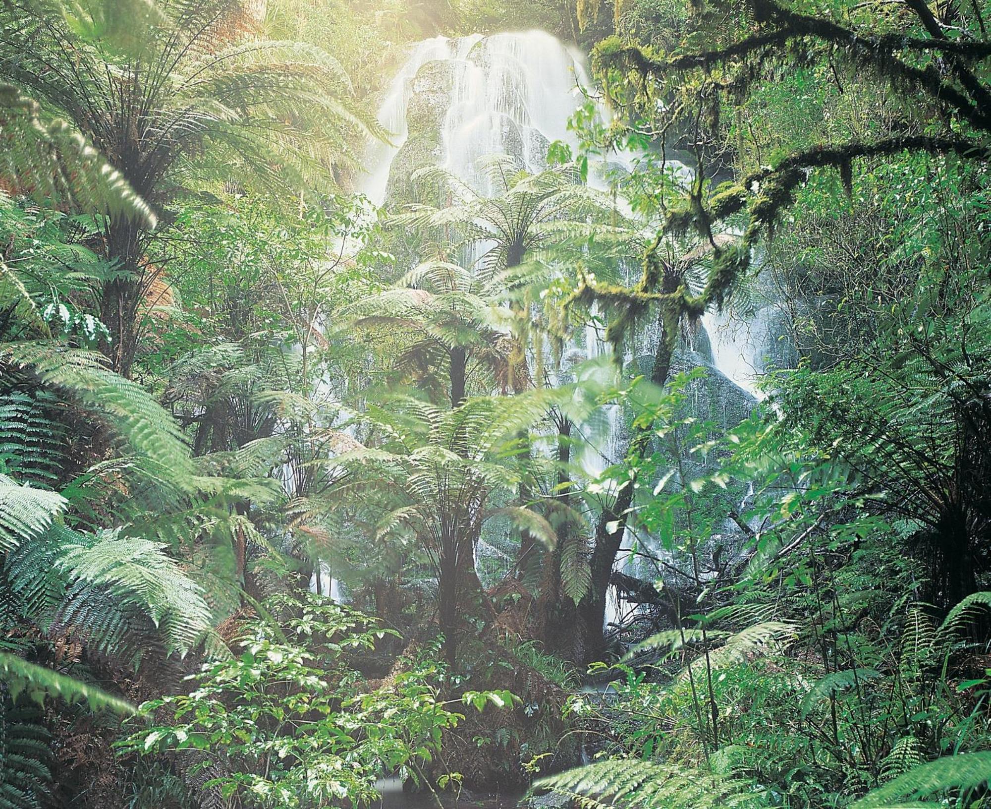Treetops Lodge & Estate Rotorua Buitenkant foto